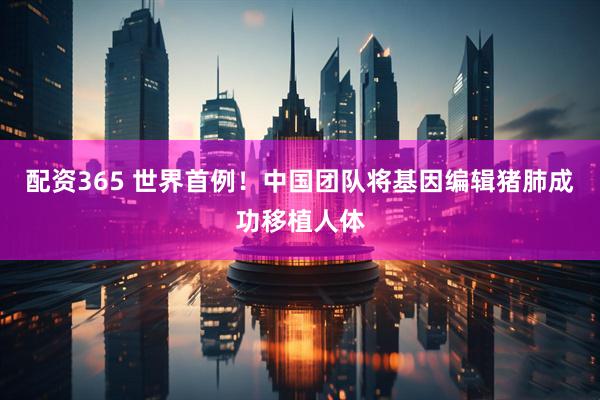 配资365 世界首例！中国团队将基因编辑猪肺成功移植人体