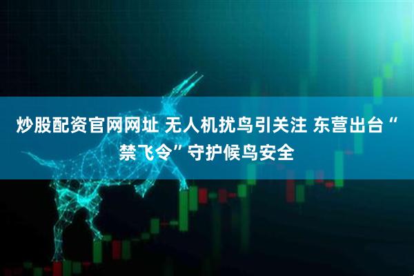 炒股配资官网网址 无人机扰鸟引关注 东营出台“禁飞令”守护候鸟安全