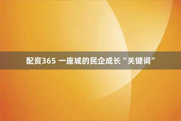 配资365 一座城的民企成长“关键词”